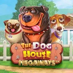 The Dog House Megaways game at Nine Win Casino for United Kingdom players