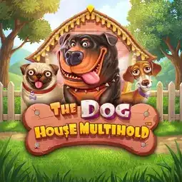 The Dog House Multihold game at Nine Win Casino for United Kingdom players